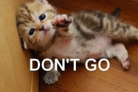 /album/fotogaleria/a221747-180687328755214-1358684879-n-large-jpg/