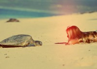 /album/fotogaleria/dsfdf-jpg/